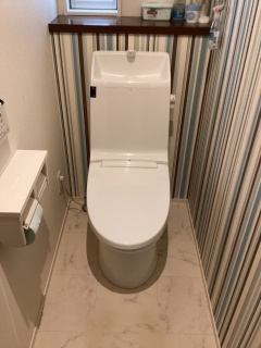 パナソニック　トイレ　TSET-AS1-WHI 施工前