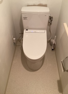 TOTO トイレ TSET-QRS1-WHI-0-120 施工後