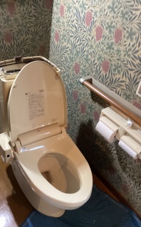 TOTO トイレ TSET-NEL2-WHI 施工前