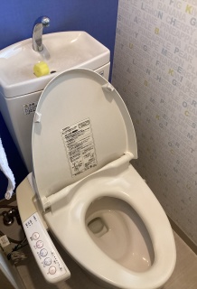 TOTO トイレ TSET-QR2-WHI-1-R 施工前