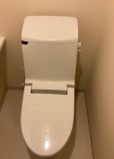 TOTO トイレ TSET-ZJR-WHI-1 施工前