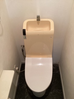 TOTO　トイレ　TSET-GG3-WHI-1 施工前
