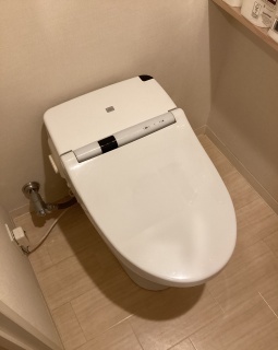 TOTO　トイレ　TSET-NEA2-WHI 施工前