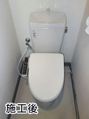 INAX   トイレ　BC-Z10HU-BN8+DT-Z180HU-BN8　 温水洗浄便座  CW-RG10-BN8
