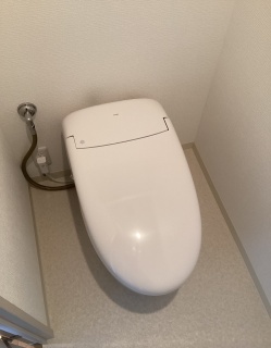TOTO　トイレ　TSET-NE-WHI